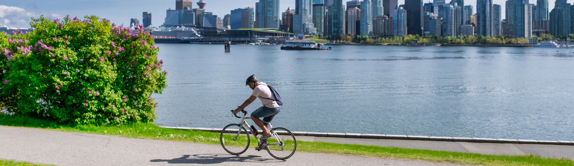 bike rental harbourfront toronto